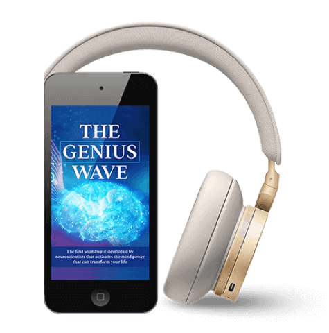 The Genius Song